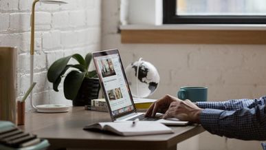 3 Questions to Ask When Building a Franchise Development Website