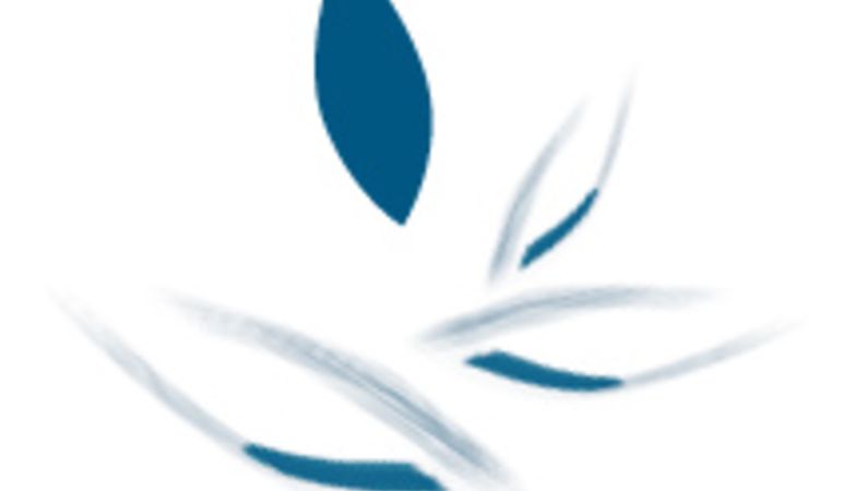 The Guardian of Memories